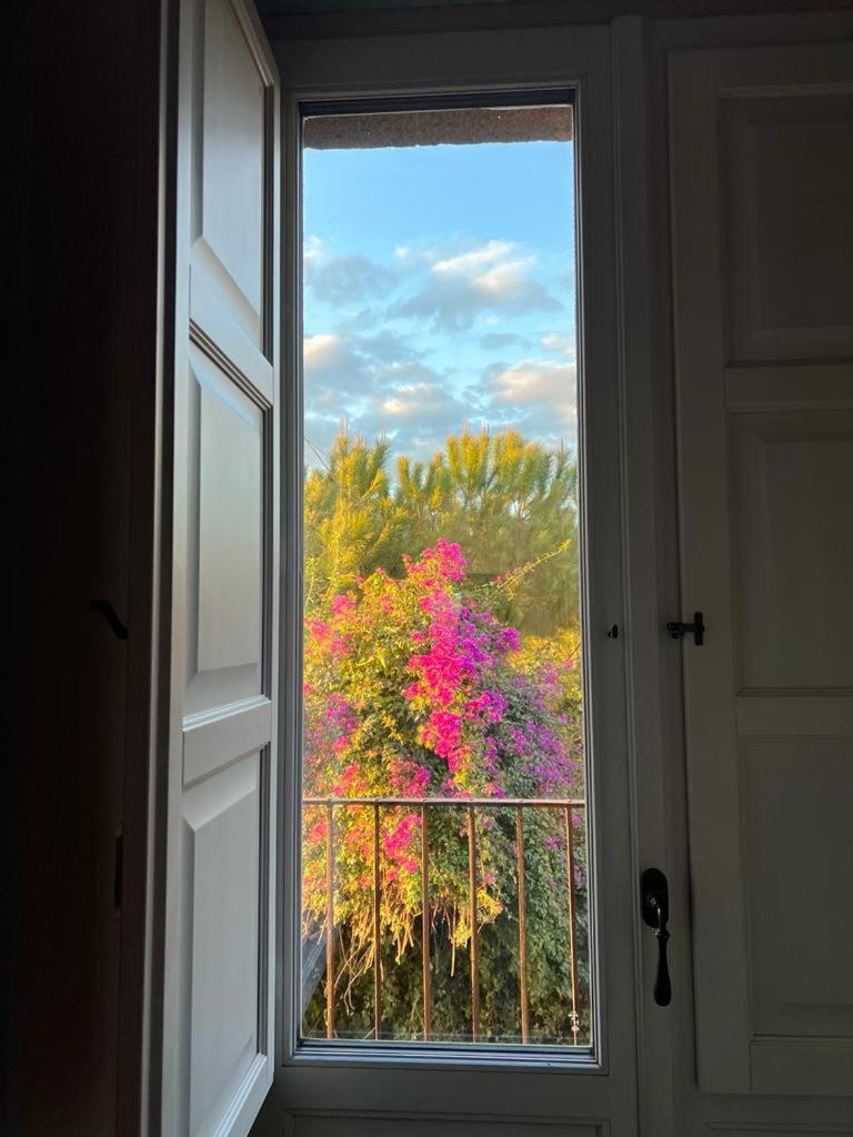 Puleera Boutique Hotel Giarre Eksteriør billede